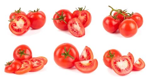 Variedades De Tomates Im Genes De Stock De Arte Vectorial Depositphotos