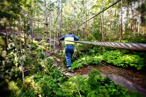 Thunderbird Park, Tamborine Mountain Qld