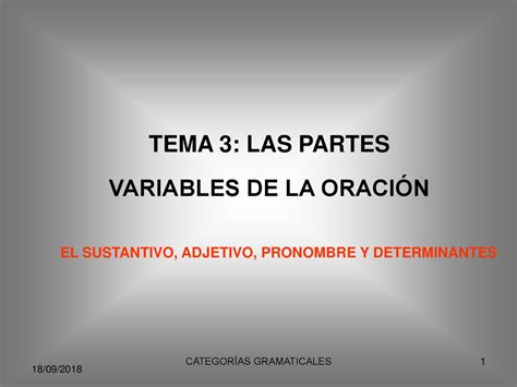 El Determinante Y El Pronombre Ppt Descargar