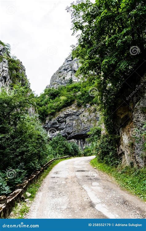 Sohodol Gorges Stock Image Image Of Environment Cheile 258552179