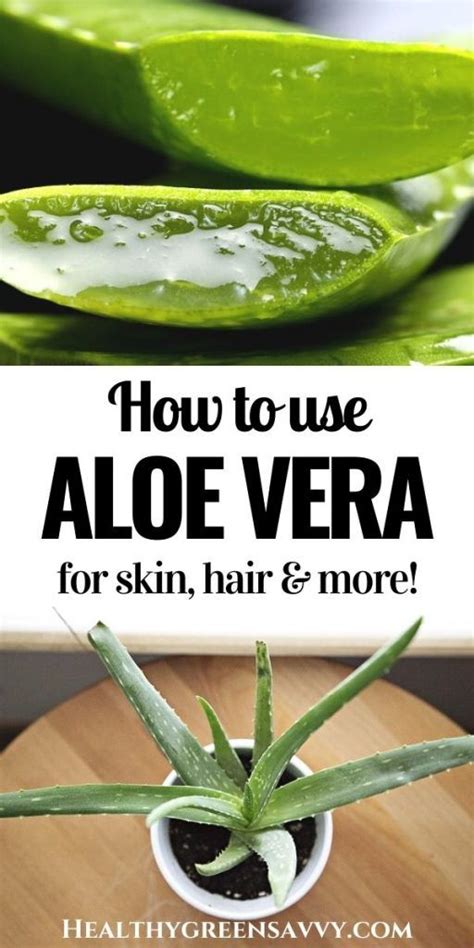 How To Make Your Own Aloe Vera Gel And 8 Ways To Use It Plus Facts About The Aloe Plant And Why