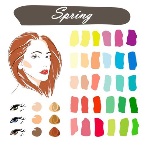 Seasonal Color Analysis Spring Palette Royalty Free Vector