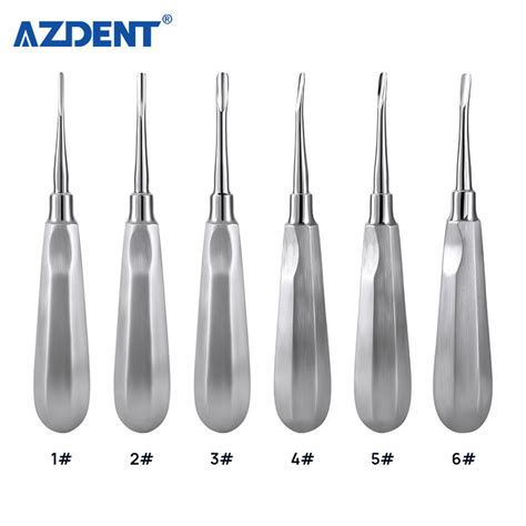 Dental Instrument Tooth Extraction Tool Stainless Steel Straight Curved