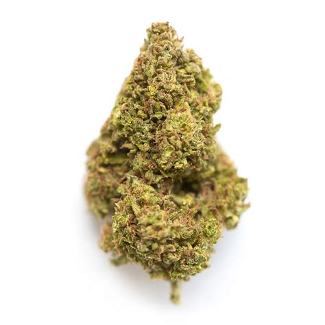 Shoreline Strain