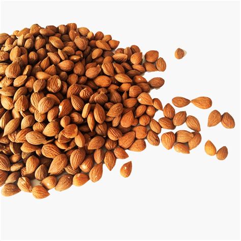 Organic Raw Bitter Apricot Kernels Seeds Himalayan Bitter Etsy