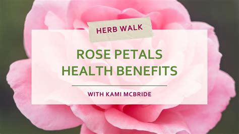 Rose Petals Benefits Herbal Medicine Youtube