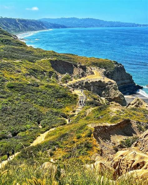 Torrey Pines Beach Trail: Unforgettable Coastal Hike in San Diego