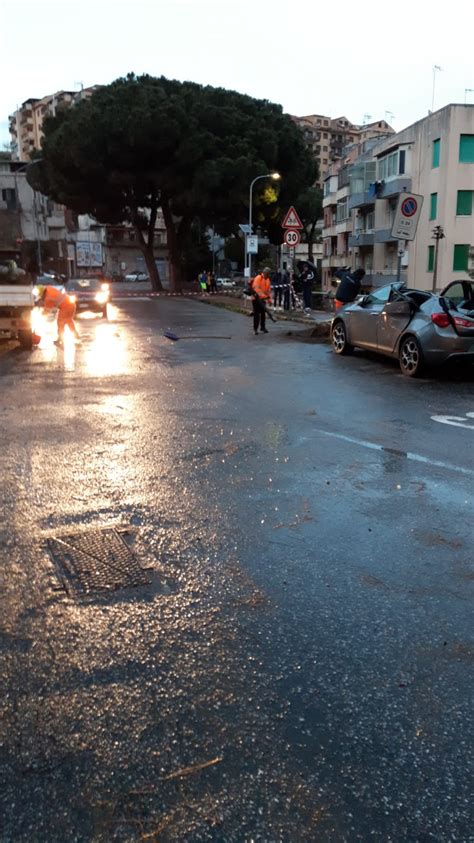 Messina Crolla Un Grosso Albero A S Licandro Ora Si Cerca Di Capire