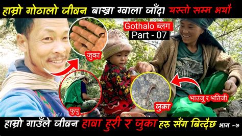 बाख्रा गोठालो ब्लग भाग ०७ Gothalo Vlog Gothalo Jiban Part 07