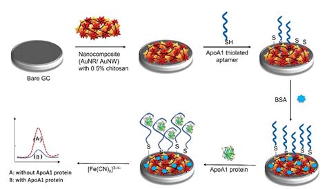 Figure From An Electrochemical Aptasensor Based On Aunrs Aunws For