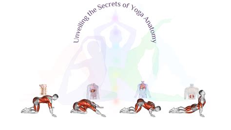 Essential Yoga Anatomy for Aspiring Teachers | Pratimoksha Dubai
