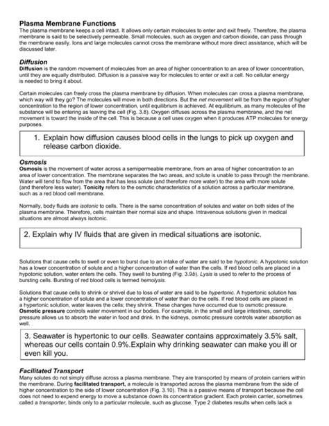 Plasma Membrane Functions