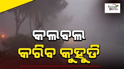 Odisha Weather Update Winter Grips IMD Predicts Very Dense Fog In