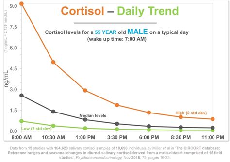 Cortisol Risk Factors RxHomeTest At Home Health Tests