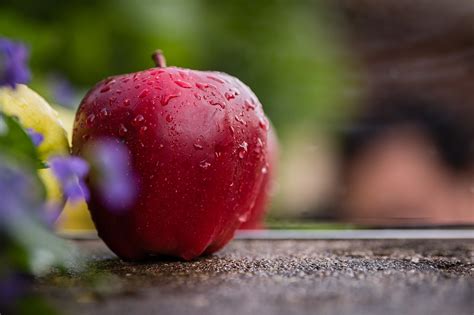 Red Apple Yellow Light Free Photo On Pixabay Pixabay