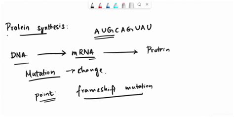 SOLVED: Explain how one change in a DNA nucleotide could alter the ... 
