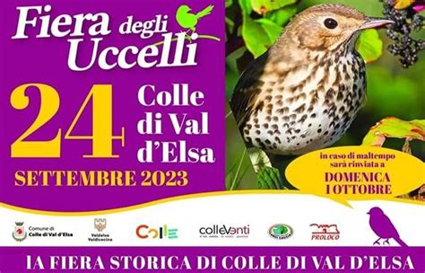 Fiera Degli Uccelli A Colle Val Delsa Domenica Settembre