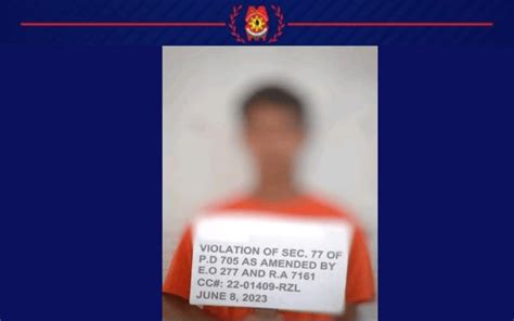 Teen Arrested For Illegal Logging In Rizal