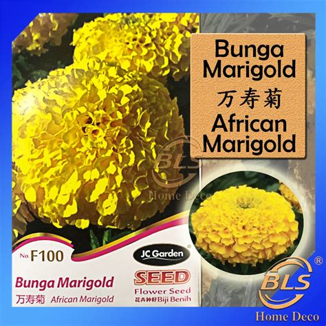 Jual BUNGA MARIGOLD AFRICAN MARIGOLD FLOWER JC GARDEN SEED BIJI BENIH