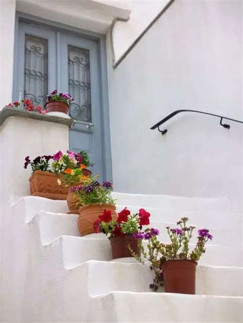 30 Ideas Para Decorar Las Escaleras Exteriores Con Macetas Y Plantas