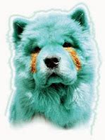 Super Hot Female Lisa Frank