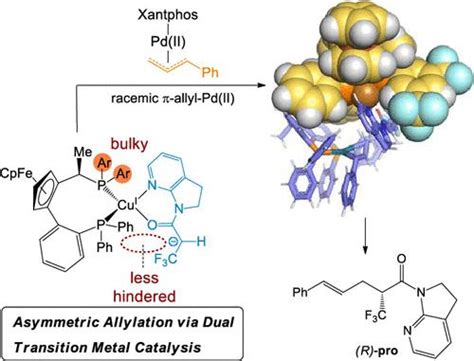 Mechanistic Exploitations of the Asymmetric α Allylation of an α CF3