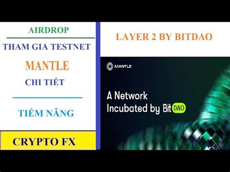 Cryptofx Tham gia Testnet Mantle layer 2 phát triển bởi BitDao Cơ