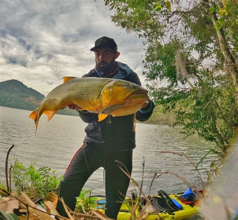 Brasileiro Caiaque Absoluto Masculino Dourado BGFA Recordes