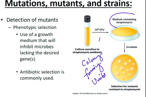 Microbiology Ch 9 Flashcards Quizlet