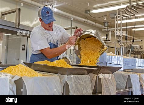 Auroraville Wisconsin Master Cheesemaker Jon Metzig Makes Colby