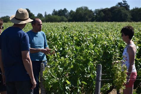 Morning Loire Valley Wine Tour In Vouvray And Montlouis Getyourguide