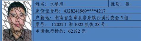 【失信曝光台】宜章法院发布2022年第三批失信被执行人、限制高消费人员名单 澎湃号·政务 澎湃新闻 The Paper