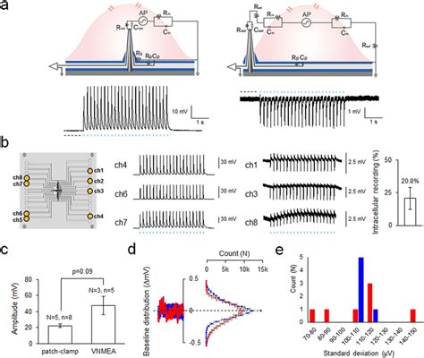 Intra Extracellular Recording By Vnmea A Equivalent Circuit Model Download Scientific