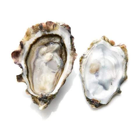 Indian Cove Mass Usa Oysters Each Delivery Or Pickup Near Me Instacart