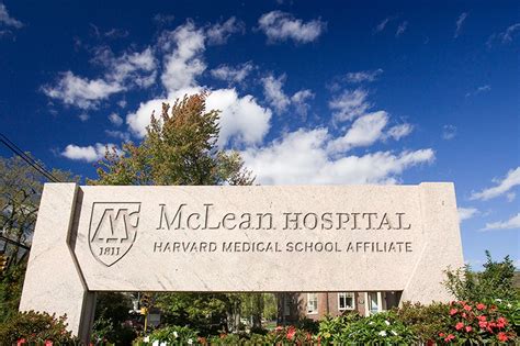 Mclean Hospital Mental Health Research Scholars Rappaport