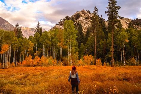 Heres Where To Find The Best Eastern Sierra Fall Colors