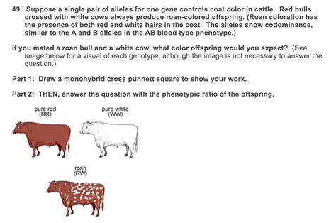 Solved Suppose A Single Pair Of Alleles For One Gene Chegg