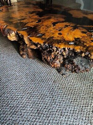 Buckeye Burl Coffee Table From California Ebay