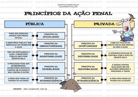 Mapa Mental Principios Processo Penal Mara Hot Sex Picture