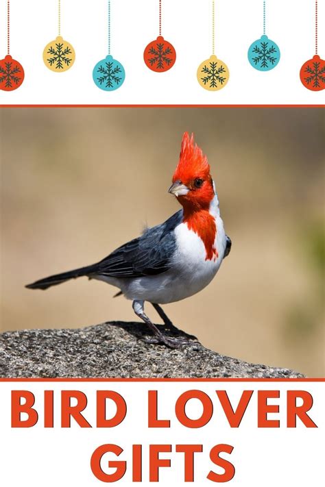 7 Unique Ts For Bird Lovers Bird Lovers Bird Watcher Ts Bird