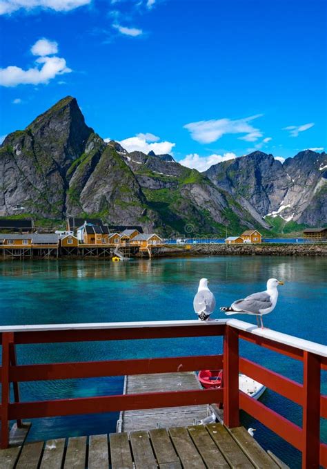 Isole Norvegia Delle Isole Dell Arcipelago Di Lofoten Fotografia Stock