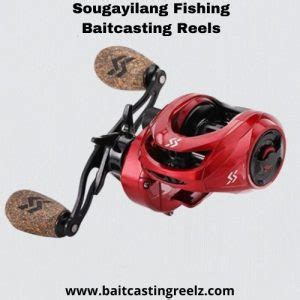 Best Baitcasters Under 100 dollars (2025 Reviews)