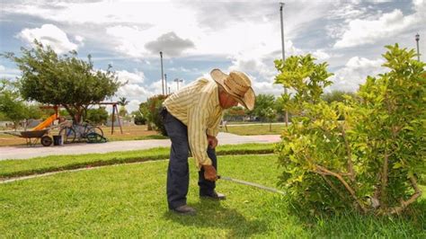 Notigape Parques Y Jardines Al Cuidado De Las Reas Verdes