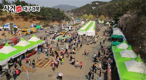 고령군 대가야체험축제 “초대박” 엄지척다경뉴스