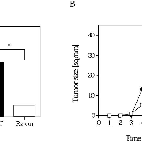 Tumor Growth Of Mcf Rz Cells In Athymic Nude Mice A And B