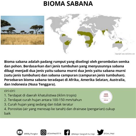 Bioma Sabana Dan Stepa Berbeda Karena Bioma Sabana Blogonus