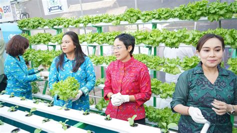 Bri Serahkan Bantuan Urban Farming Jadikan Desa Padangsambian Klod