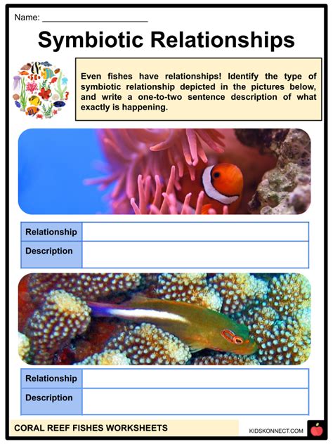 Coral Reef Fish Worksheets And Facts Species Symbiosis Habitat