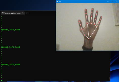 GitHub SukruGokk Python Hand Gesture Detection