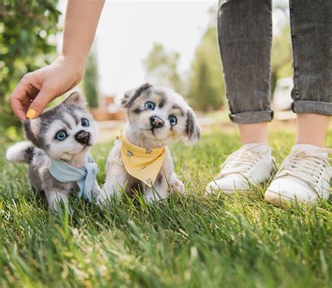 Husky Dog Realistic Husky Stuff Animal Stuffed Animal Toys Etsy